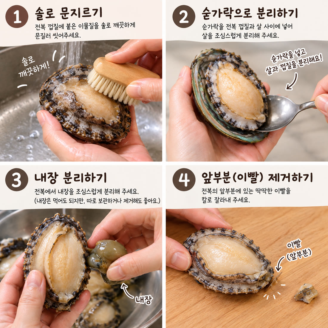전복 손질 4단계 사진 — 1 솔로 문지르기, 2 숟가락으로 분리하기, 3 내장 분리하기, 4 앞부분(이빨) 제거하기